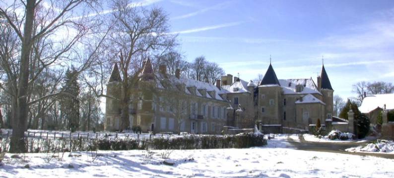 韦泽莱岛屿城堡酒店(Château d'Island Vézelay)图片