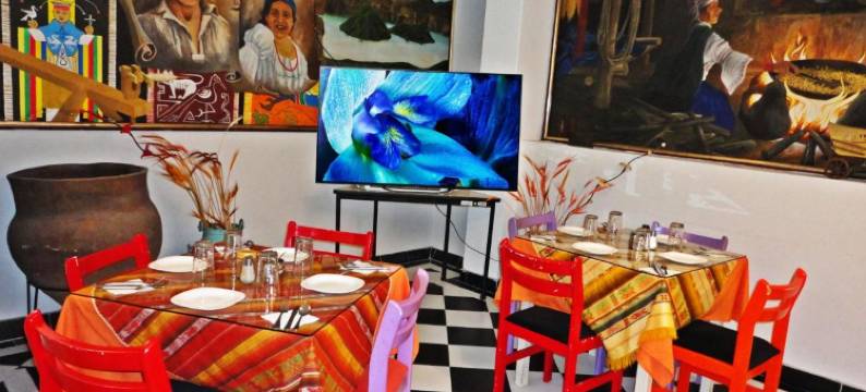 斯堪的纳维亚角酒店(Hotel Rincón Escandinavo)图片