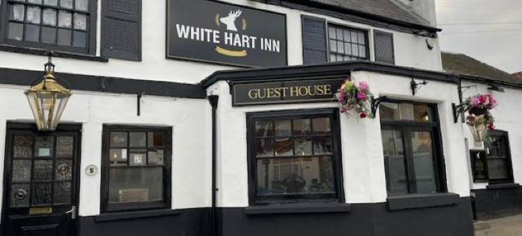 白鹿旅馆(The White Hart Inn)图片