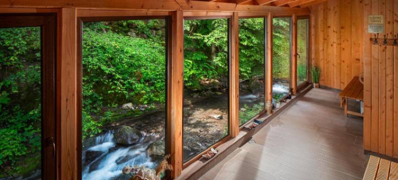 阿尔法特奇菲利卡酒店(Hotel Alfaresort Thermal Chiflika)图片