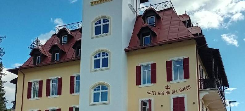 REGINA DEL BOSCO酒店(Hotel Regina del Bosco)图片