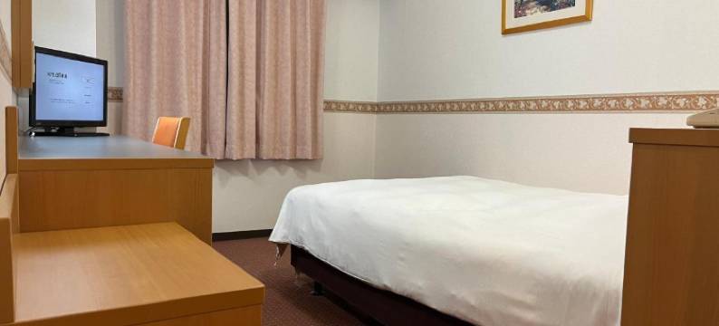 新泻Alpha-1酒店(Hotel Alpha-One Niigata)图片