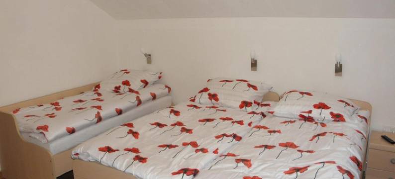 Hotel and Restaurant Ana图片