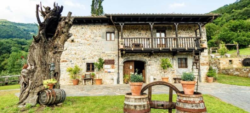 卡斯塔努酒店(Casona de El Castañíu)图片