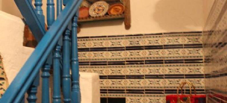 突尼斯的肯萨之家(Dar Kenza Tunis)图片