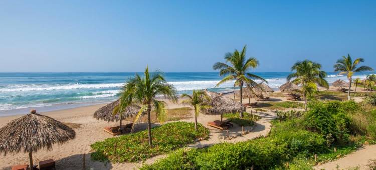 维瓦海滩酒店(Playa Viva)图片