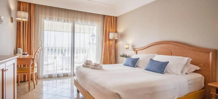 宫殿酒店(Palace Hotel Desenzano)图片