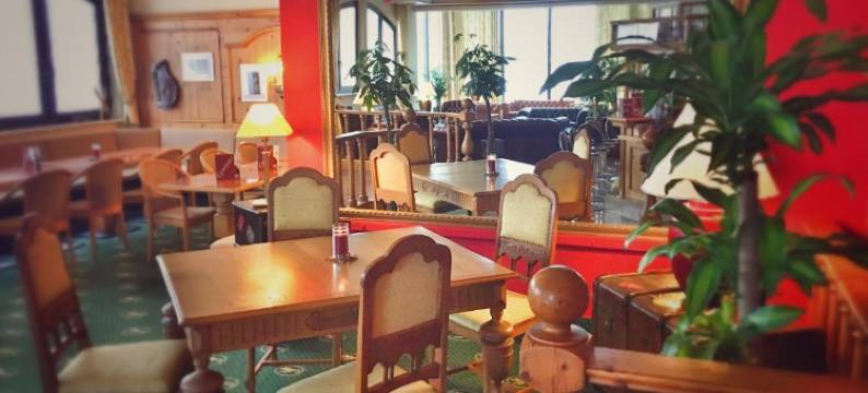 阿尔皮娜阿泊文森特山林小屋(Alpina Lodge Hotel Oberwiesenthal)图片