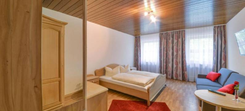 翰心格酒店(Hotel Gasthof Hainzinger)图片