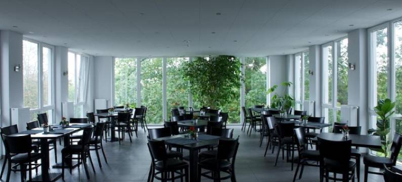 斯恩兹维斯赫恩酒店(Hotel zwischen den Seen)图片