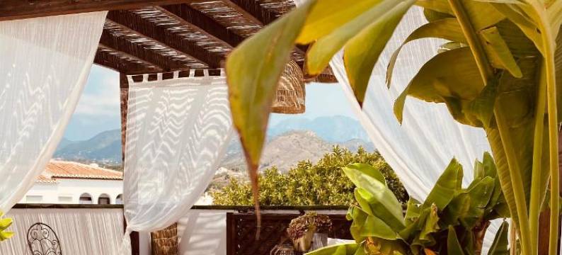 坎塔雷罗广场精品青年旅舍(Hostal Boutique Plaza Cantarero)图片