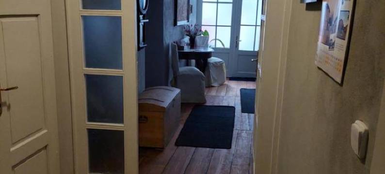 大卫膳食公寓酒店(Penzion David)图片