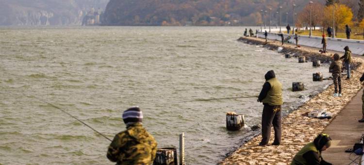 Apartmani Nina图片