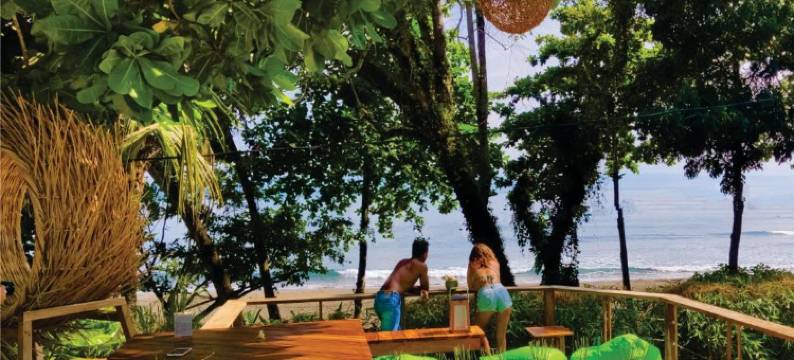 爪哇湾海滩酒店(JavaCove Beach Hotel)图片