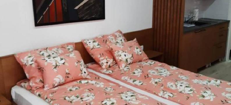 Apartment Mašić图片