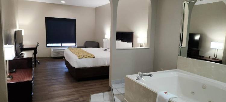 休斯顿布鲁克霍洛呗盟酒店(Baymont by Wyndham Houston Brookhollow)图片