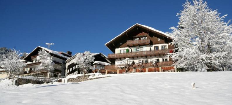 阿德勒酒店(Hotel Adler Garni)图片