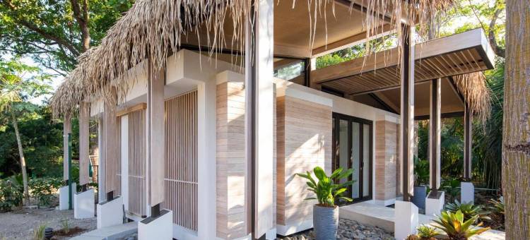 格莱迪伊瓜纳冲浪酒店(The Gilded Iguana)图片