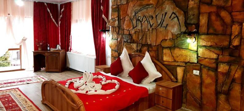 Pensiunea Dracula & Spa图片