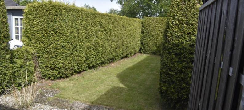 韦斯特库格兰德–古特酒店(Land-Gut-Hotel Westerkrug)图片