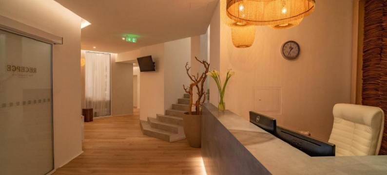 拿普利茨基酒店(Hotel U Kaplicky)图片