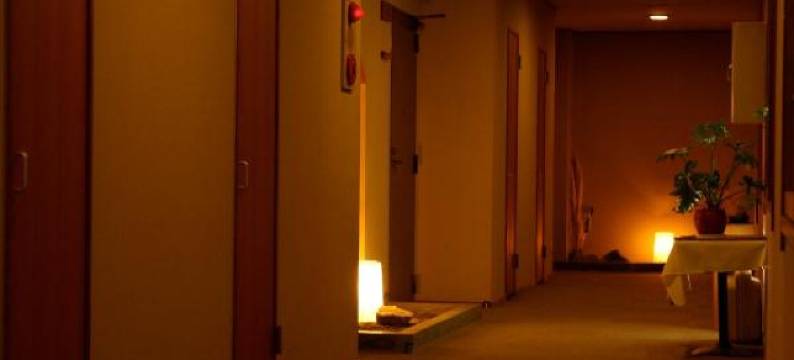 中尾山温泉松仙阁(Shinshu Nakaoyama Onsen, Shosenkaku)图片