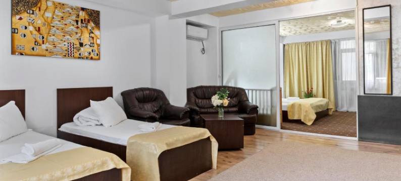 奥托佩尼宪章酒店(Hotel Charter Otopeni)图片