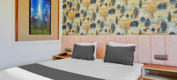 Hotel O Chouksey Farmstead图片