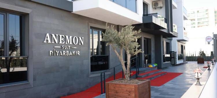 阿内蒙 迪亚巴克尔套房酒店(Anemon Diyarbakır Suit Hotel)图片