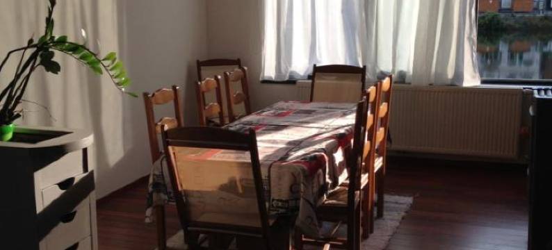 萨克斯旅馆(Les Voisins de Mr Sax)图片