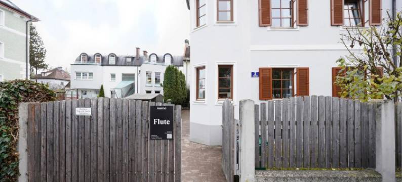 Numa 萨尔茨堡 长笛(Numa Salzburg Flute)图片