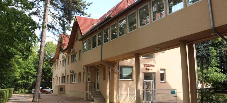 苏贝德康体酒店(Wellness Hotel Szindbád)图片