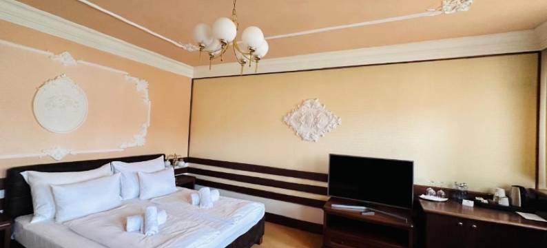 布尔诺公园酒店(Parkhotel Brno)图片