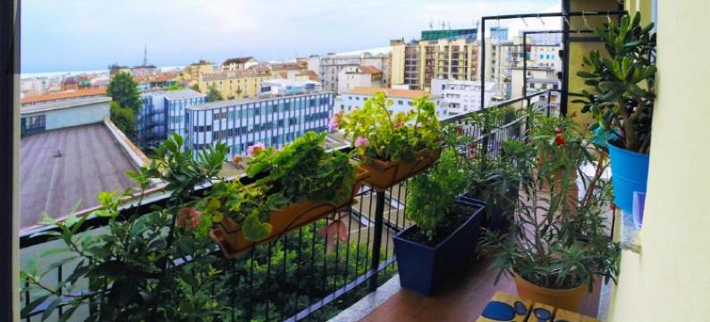 不超过七天住宿加早餐旅馆(Up to Seven)图片