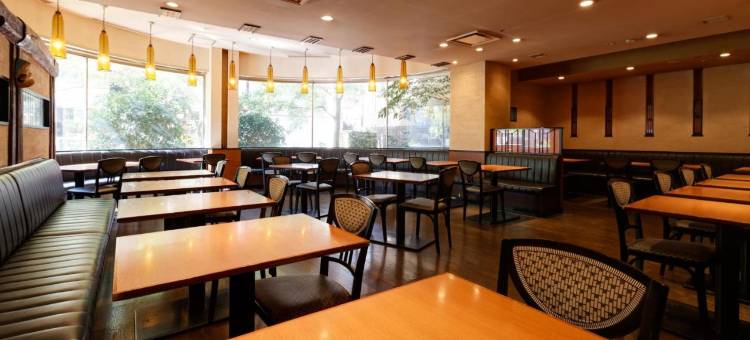 久留米华盛顿广场酒店(Kurume Washington Hotel Plaza)图片