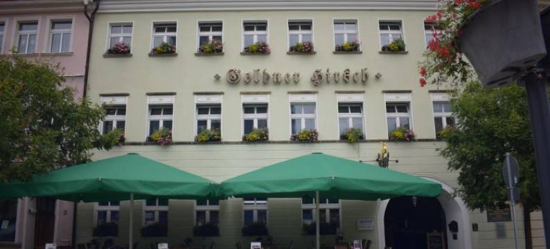 席尔奇阿肯森特酒店(Akzent Hotel Goldner Hirsch)图片