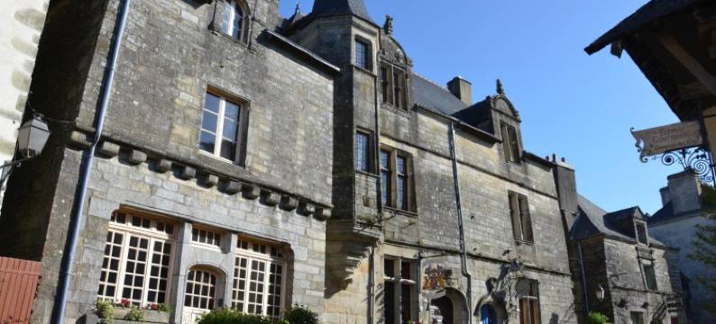 狮子座酒店(La Tour du Lion)图片