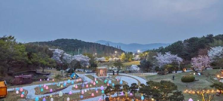 柯荣酒店(Kolon Hotel)图片