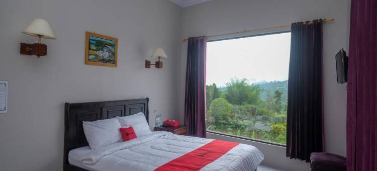 RedDoorz at Jalan Dieng 3图片