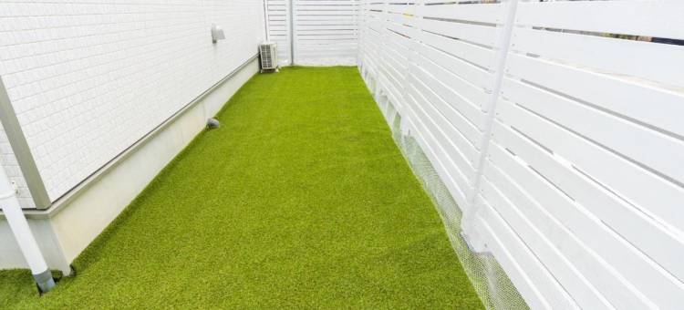 Miraie Suzuka Shimomida(Miraie Suzuka Shimomida)图片