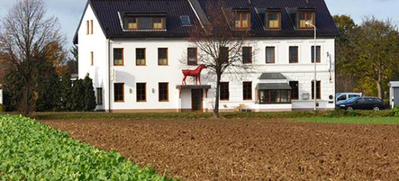 罗特艾尔霍恩精品酒店餐厅(Hotel-Restaurant Rotes Einhorn Düren)图片