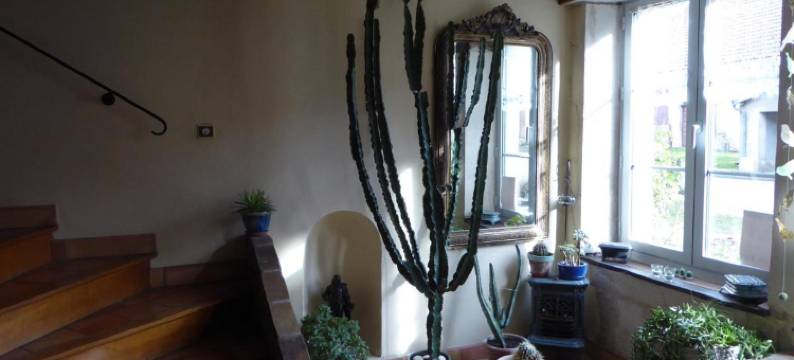 欧姆贝来思住宿加早餐旅馆(Les Ombelles)图片