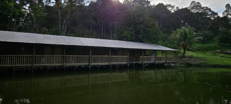 竹苑与榴莲度假农庄(Bamboo Villa & Durian-Retreat FarmStay)图片