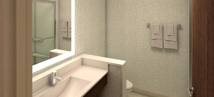 Holiday Inn Express & Suites El Paso East-Loop 375图片