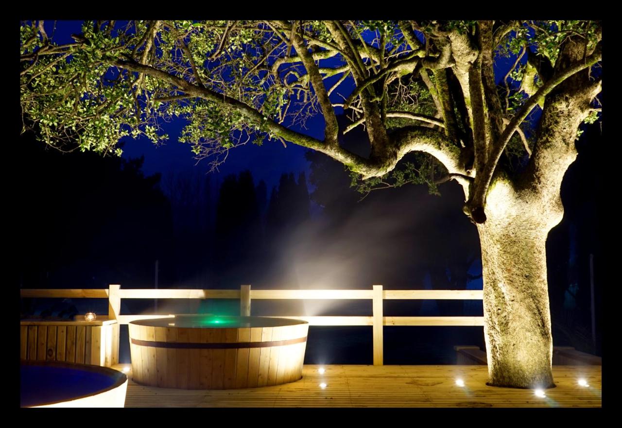 Hotel Pucon Green Park Over view