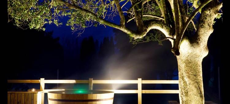 普孔绿色公园酒店(Hotel Pucon Green Park)图片