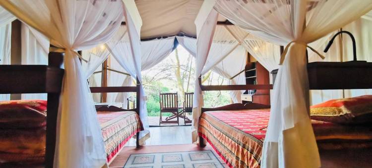 马赛马拉无花果树露营地酒店(Fig Tree Camp - Maasai Mara)图片