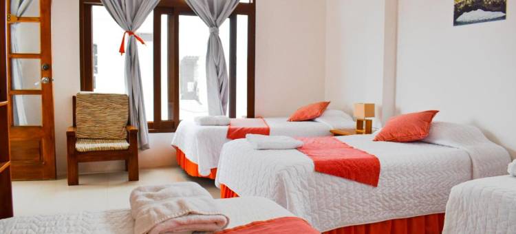 丁托雷拉大青年旅舍(Gran Hostal Tintorera)图片