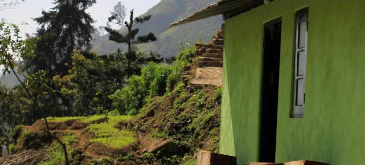 米娜阿玛茶体验旅馆(Meena Amma's Tea Experience)图片