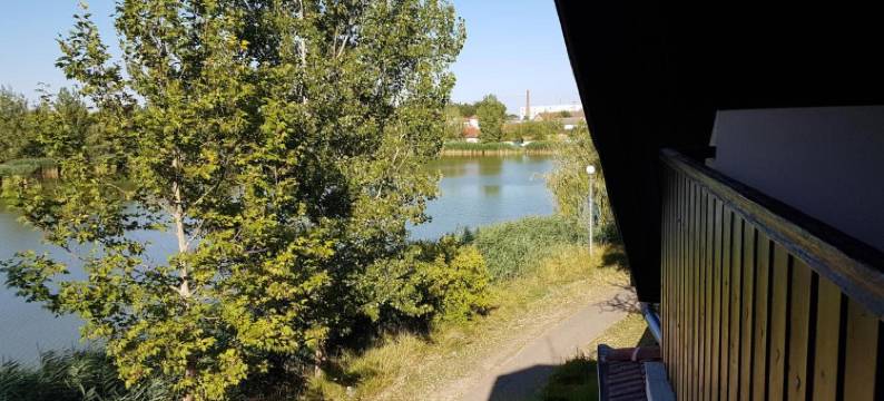 To uti Vendeghaz图片